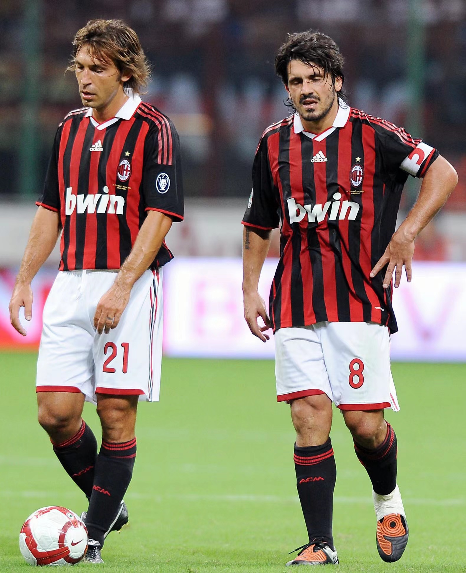 报道 报道
